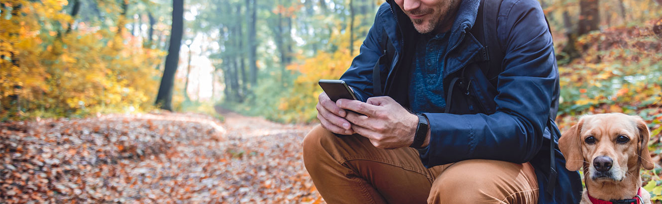 Man walking his dog through the forest while checking his phone. 